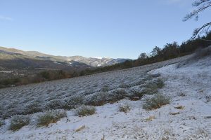 Hautes-Baronnies- Saint-Auban-Lavandes- Neige