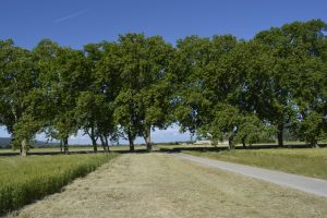 réfection voirie Vinsobres- Saint Maurice sur Eygues