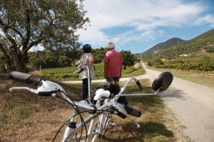 velo-ot-mediart360-patrice-foresti-web
